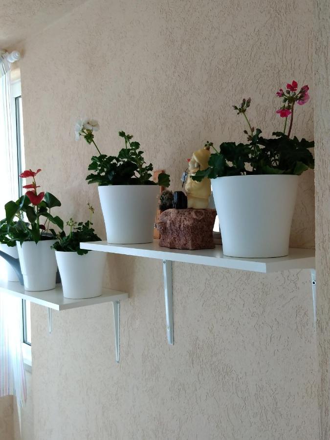 Apartamento Heart Of Makarska Exterior foto
